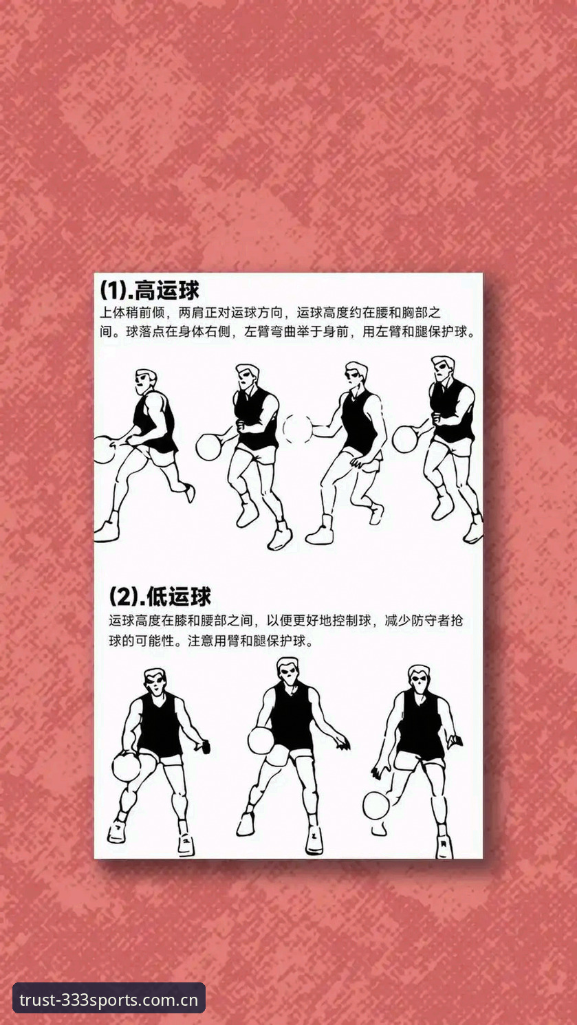 333体育官网使用指南：从新手到高手的完整教程